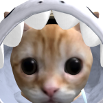 @Awesomesauce88369