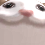 @dwewfhkw