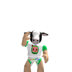 @Bestfamilyturtle09