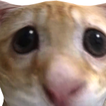 @Anubis_Sphinx