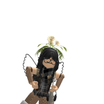@skylan2088