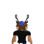 @personroblox11