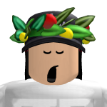 @shimmerroblox