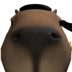 @dinoboy789654321