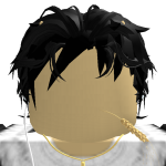 @boogrsrevenge