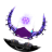 d9q9q