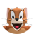 EnvyzDev