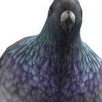 Davitoylasd9
