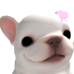 @yryia