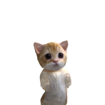 @povayzen