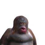 @YoWasUpBro473