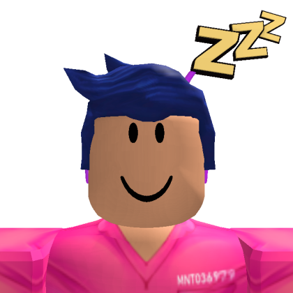 Roblox profile picture for @roi1141