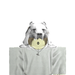 @pvxc0