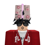 @Roblox1234563234242