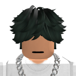 @RobloxianKingPro111
