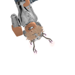 @RyxnnXOX