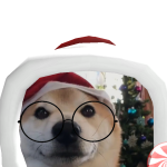 @SenseiAC