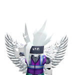 VoidDragon