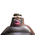@S0PHSPLAN3T