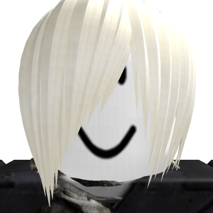 Roblox profile picture for @marv