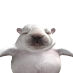 @http_chxrryh