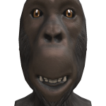 @CHIKENWISBONE