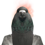 @rufus20171