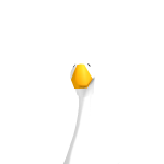 @BuffCheeto1
