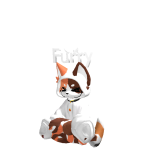 @cute_cat64821
