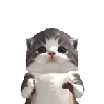 @CliqTusee