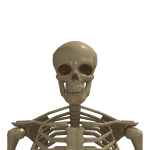 @Ugh1udi2khead