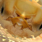 @Fl0w4er