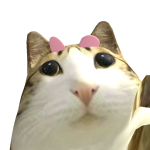 @danilodaniel123456d