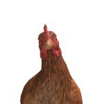 @BHFL2