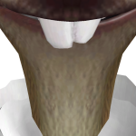 @dylfahdev