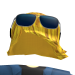@shyscripter