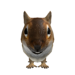 @Skyz0z0
