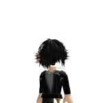 @roblox_user_4200052793