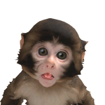 @Jegse