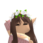 @Roblox_gamerpro246