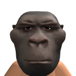 @akkurt112