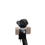 @defnot3ver