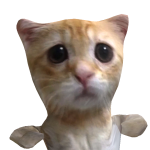 @fchjghdsgfkh