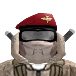 @pvtstaticvoid