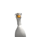 @muddfoot_35