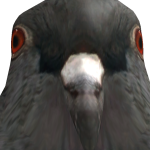 @duckyGame