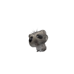 @dognvk
