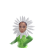 aerivel