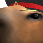 @SgtCapybara