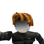 @RAYANLOL900